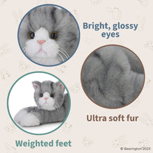 Load image into Gallery viewer, Socks the Gray Cat