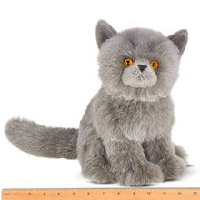 Load image into Gallery viewer, Gordie the grey plush Persian cat