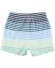 Load image into Gallery viewer, Boys Coastal Stripe Swim Trunks