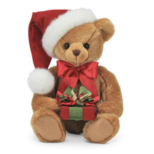 Load image into Gallery viewer, Holden Presents with Santa Hat