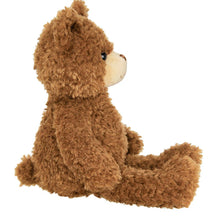 Load image into Gallery viewer, Eddie the Teddy Bear