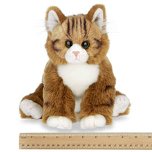 Load image into Gallery viewer, Manny the Maine Coon Cat