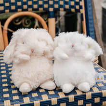 Load image into Gallery viewer, Wee Ittybit Bunny by Bunnies by the Bay