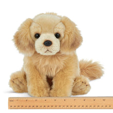 Load image into Gallery viewer, Goldie the Golden Retriever
