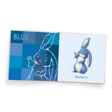 Load image into Gallery viewer, My Book of Colors - Board Book
