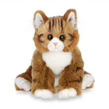 Load image into Gallery viewer, Manny the Maine Coon Cat

