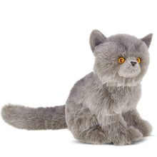 Load image into Gallery viewer, Gordie the grey plush Persian cat
