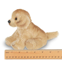 Load image into Gallery viewer, Lil&#39; Goldie the Golden Retriever
