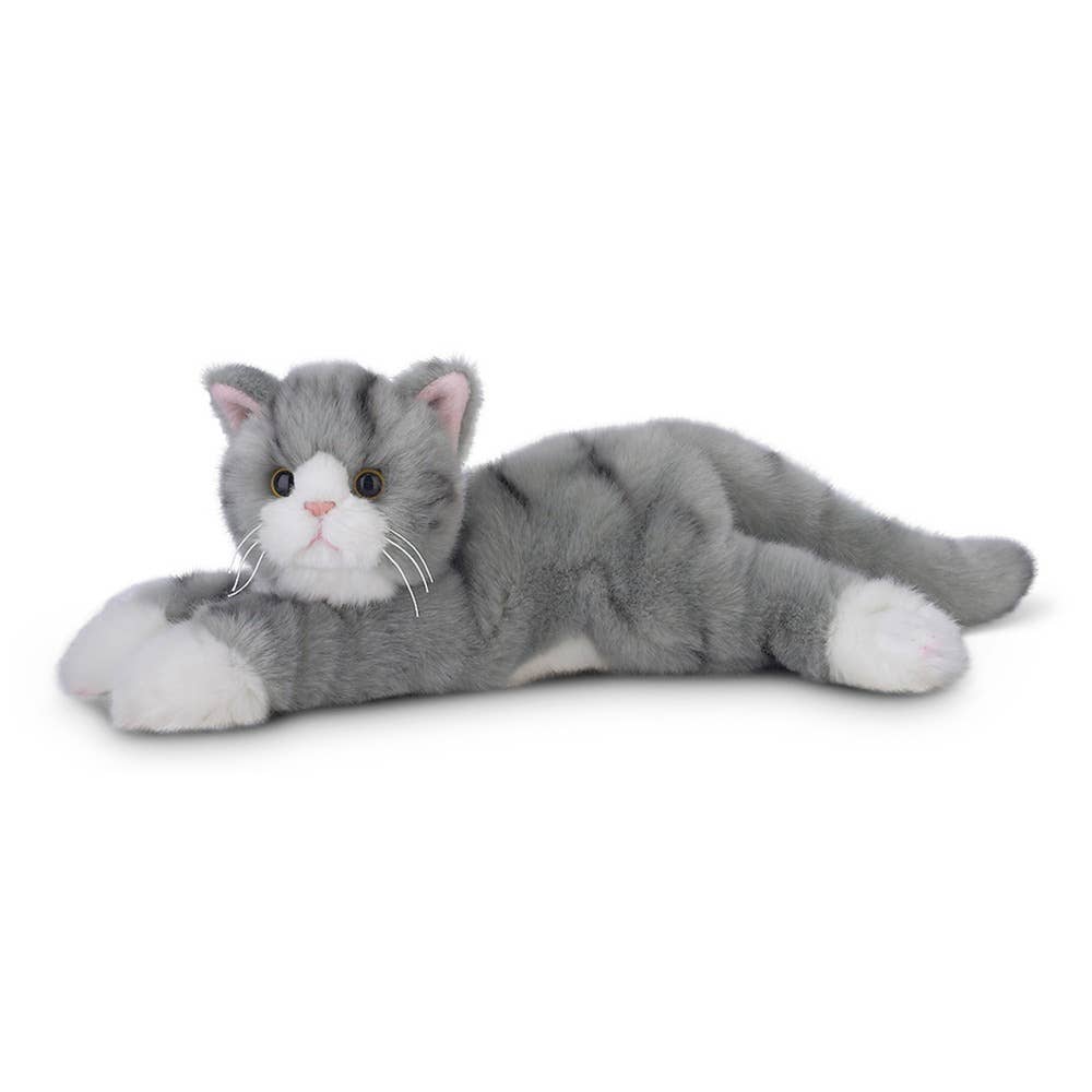 Socks the Gray Cat