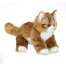 Load image into Gallery viewer, Manny the Maine Coon Cat
