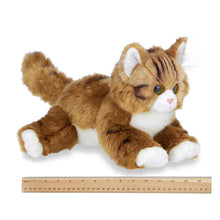 Load image into Gallery viewer, Manny the Maine Coon Cat

