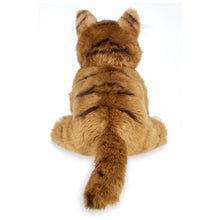 Load image into Gallery viewer, Manny the Maine Coon Cat
