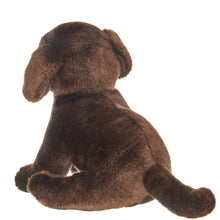 Load image into Gallery viewer, Brody the Chocolate Lab
