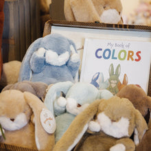 Load image into Gallery viewer, My Book of Colors - Board Book
