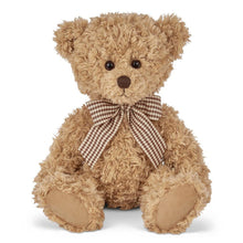 Load image into Gallery viewer, Theodore the Teddy Bear

