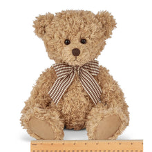 Load image into Gallery viewer, Theodore the Teddy Bear

