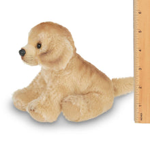 Load image into Gallery viewer, Lil&#39; Goldie the Golden Retriever
