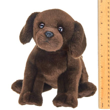 Load image into Gallery viewer, Brody the Chocolate Lab
