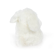 Load image into Gallery viewer, Wee Ittybit Bunny by Bunnies by the Bay
