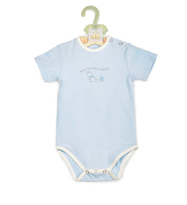 Bunnies by the Bay Bunny Onesies