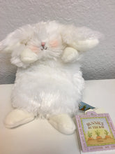 Load image into Gallery viewer, Itty Bit Plush Bunny
